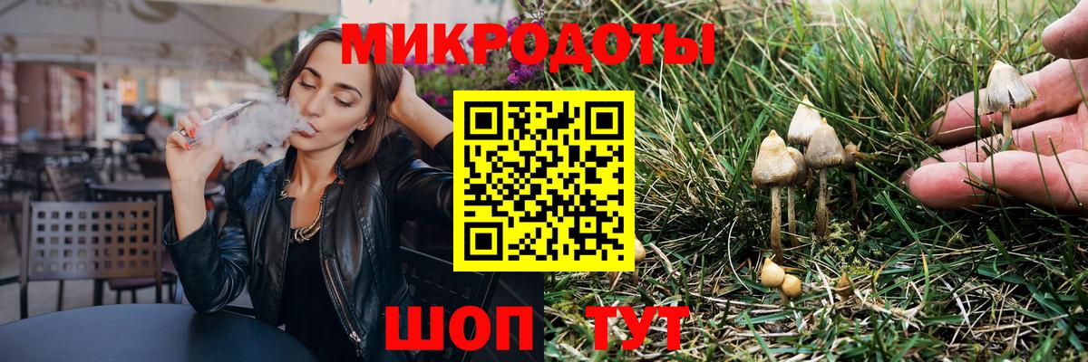 Саратов  Псилоцибиновые грибы мицелий  Вход с VPN  Псилоцибиновые грибы GOLDEN TEACHER 