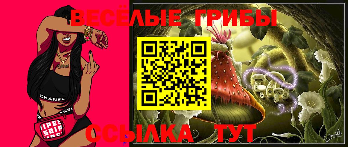 Псилоцибиновые грибы Magic Shrooms Саратов