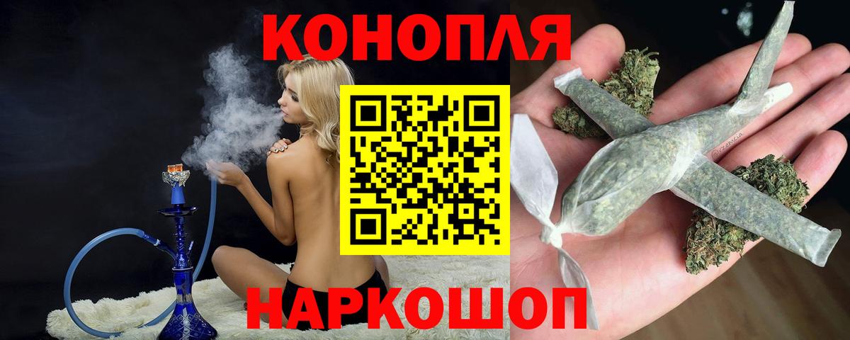Бошки Шишки план Саратов